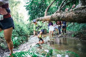 BIB: 
                            <button type="button" onclick="openModal(25476227)" class="btn btn-primary btn-sm float-right btn-popup" data-toggle="modal" data-target=".modal-high-quality">
                        <i class="fas fa-shopping-cart"></i> Add to Cart
                    </button>
                                            <button type="button" onclick="isThisMe(25476227, true)" class="btn btn-success btn-sm float-right btn-popup btn-isme hidden" data-toggle="tooltip" data-placement="bottom" title="นี่คือรูปของคุณใช่ไหม คลิกที่นี่เพื่อเอาเข้าอัลบั้ม">
                        <i class="fas fa-plus"></i> Add to album
                    </button>
                    <button type="button" onclick="isThisMe(25476227, false)" class="btn btn-warning btn-sm float-right btn-popup btn-isnotme hidden">
                        <i class="fas fa-ban"></i> Remove from album
                    </button>